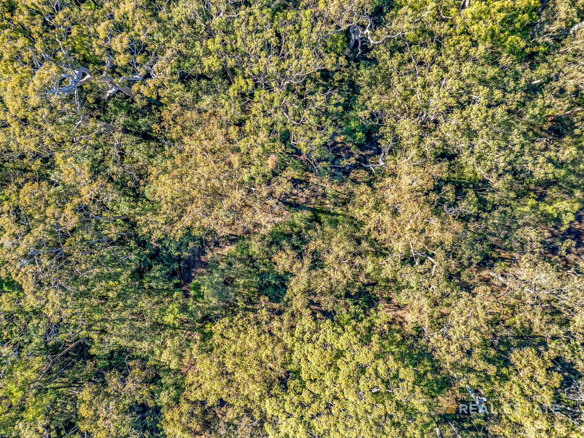 Lot 2741 Burren Street, North Arm Cove NSW 2324, North Arm Cove - Thumbnail 6