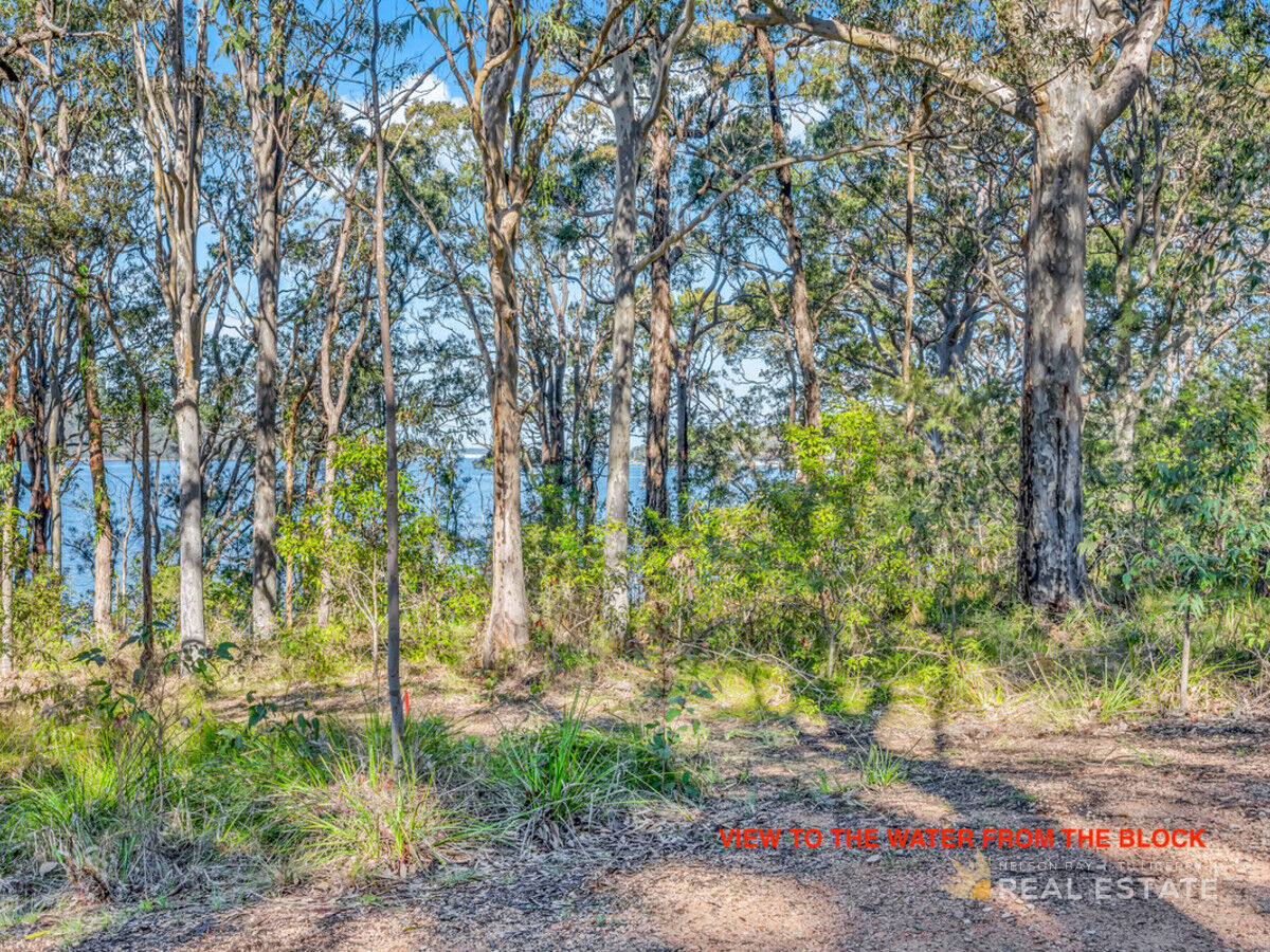 Lot 1410 Merriwa Boulevard, North Arm Cove NSW 2324, North Arm Cove - Thumbnail 2