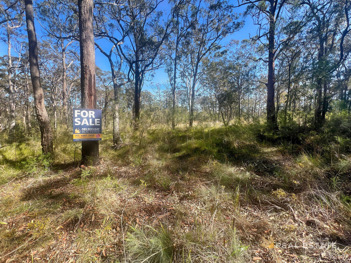 Lot 2548 Commerce Way, North Arm Cove NSW 2324, North Arm Cove - Thumbnail 3