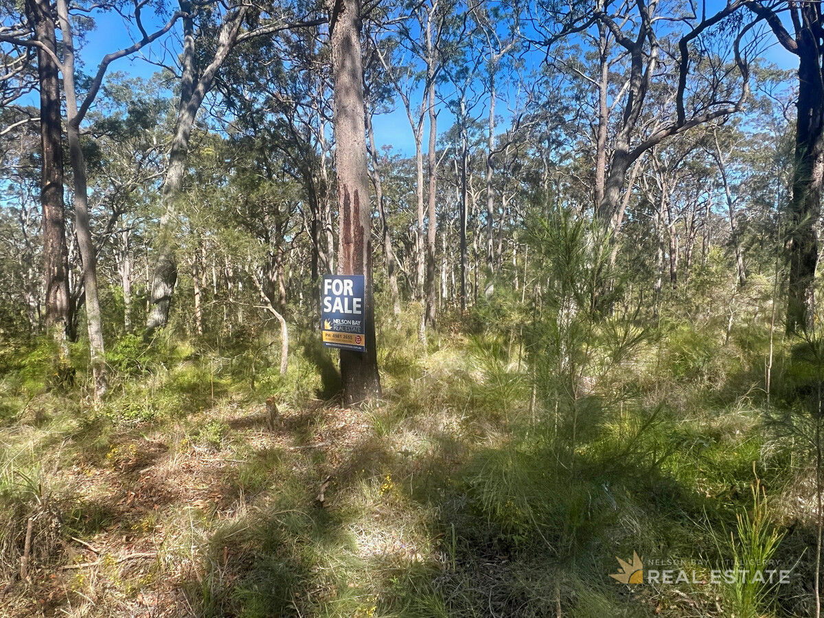 Lot 2548 Commerce Way, North Arm Cove NSW 2324, North Arm Cove - Thumbnail 7