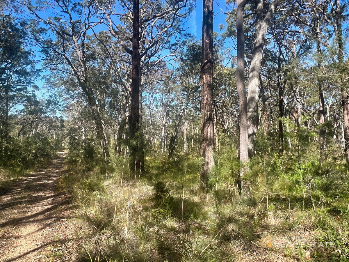 Lot 2548 Commerce Way, North Arm Cove NSW 2324, North Arm Cove - Thumbnail 8