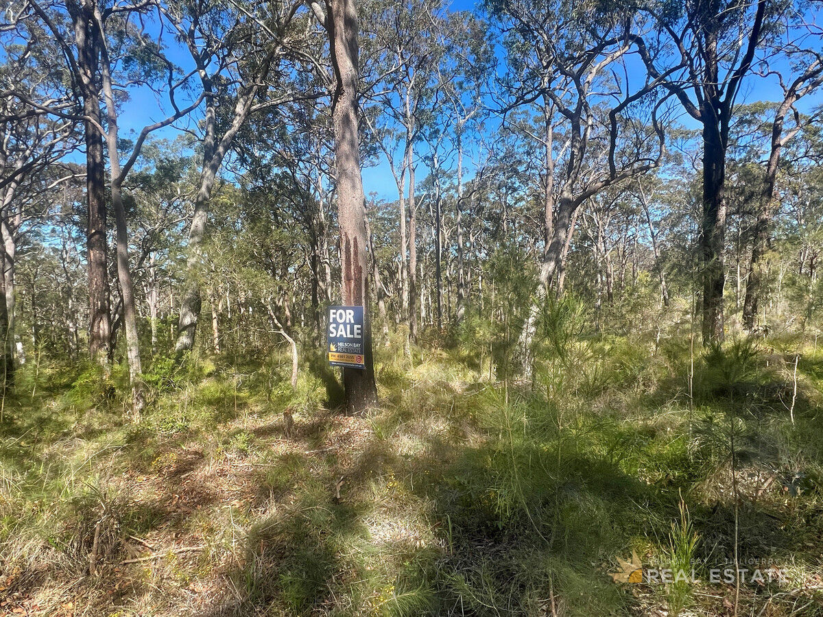 Lot 2548 Commerce Way, North Arm Cove NSW 2324, North Arm Cove - Thumbnail 5