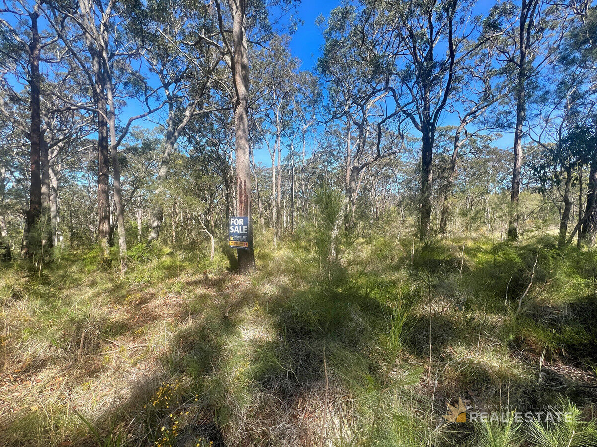 Lot 2548 Commerce Way, North Arm Cove NSW 2324, North Arm Cove - Thumbnail 6
