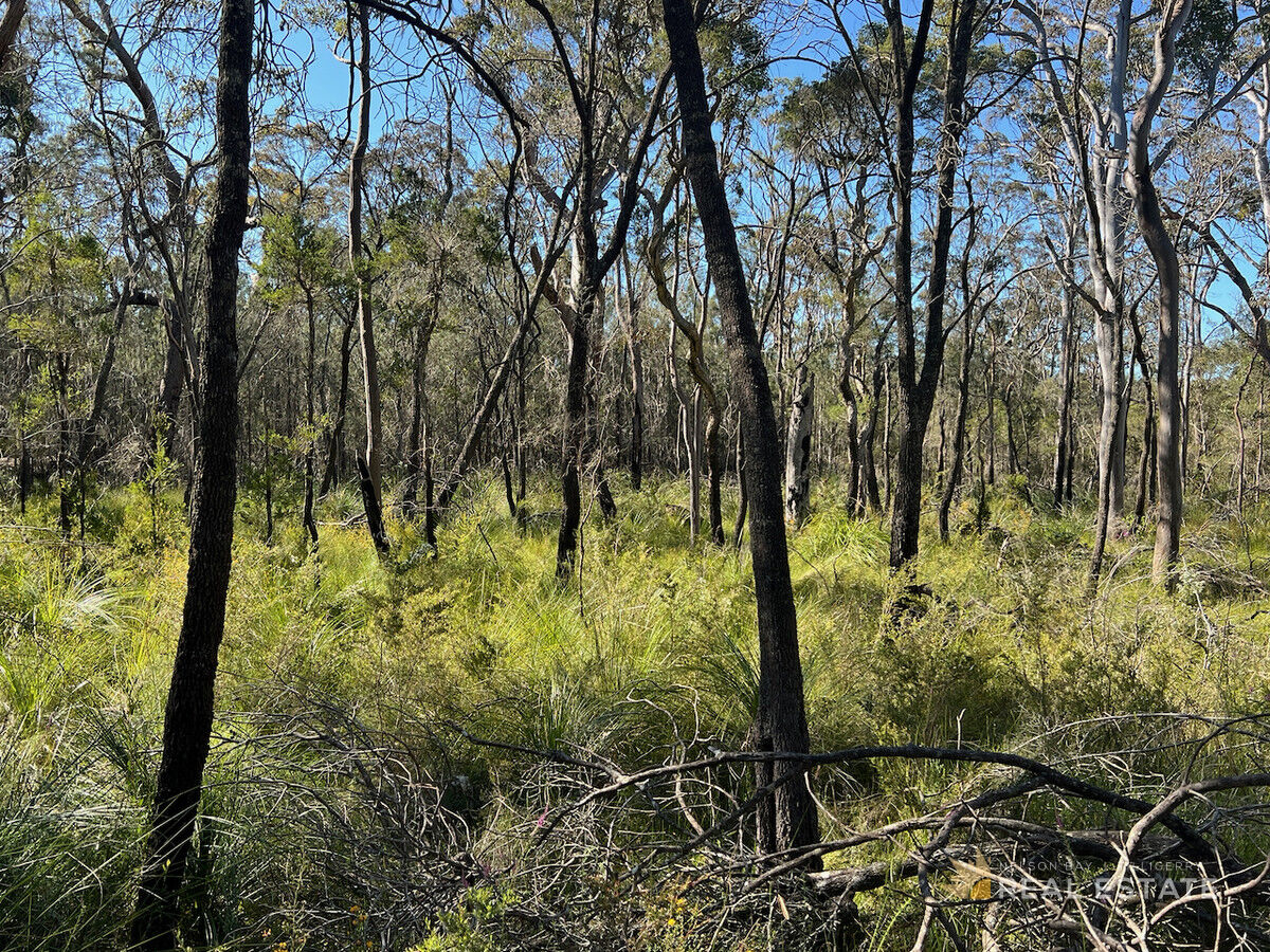 Lot 278 Scone Street, North Arm Cove NSW 2324, North Arm Cove - Thumbnail 6