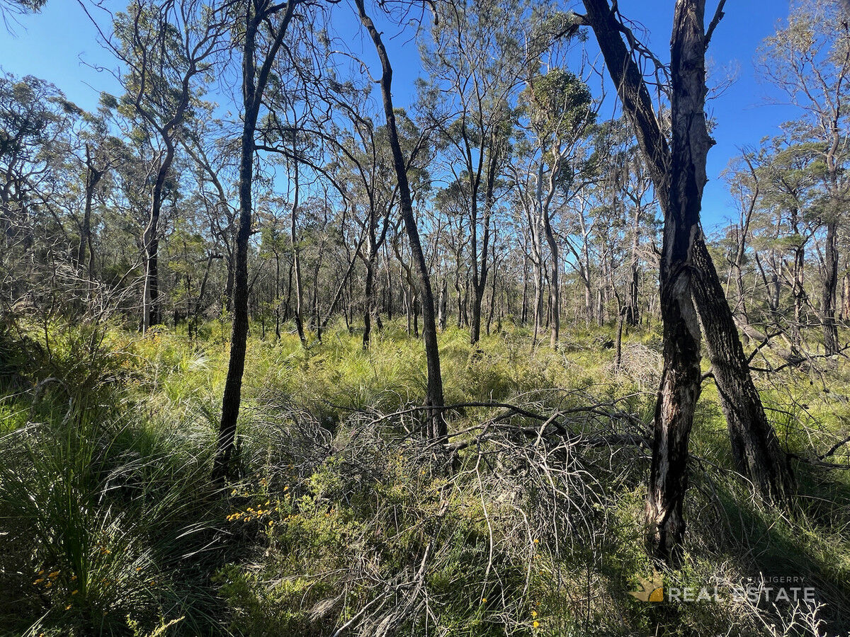 Lot 278 Scone Street, North Arm Cove NSW 2324, North Arm Cove - Thumbnail 7