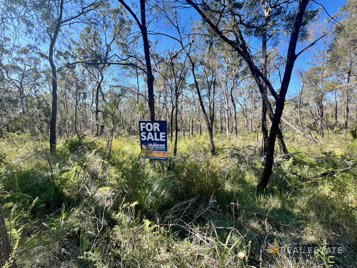 Lot 278 Scone Street, North Arm Cove NSW 2324, North Arm Cove - Thumbnail 4