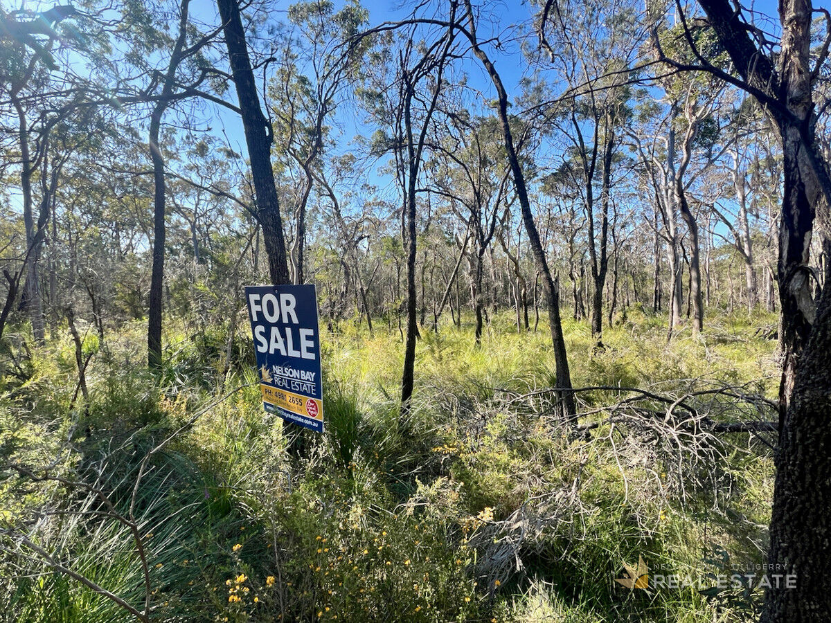Lot 278 Scone Street, North Arm Cove NSW 2324, North Arm Cove - Thumbnail 5