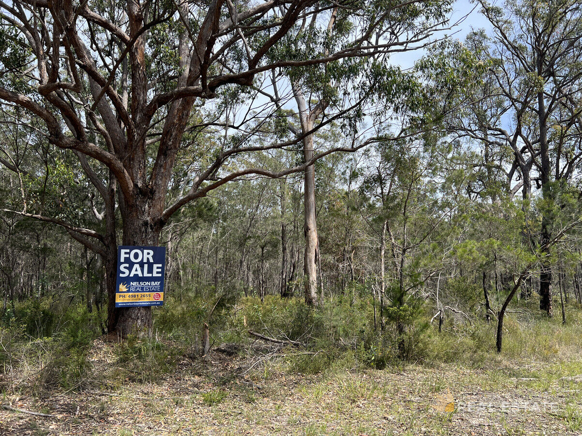 Lot 2863 Glen Innes Road, North Arm Cove NSW 2324, North Arm Cove - Thumbnail 2