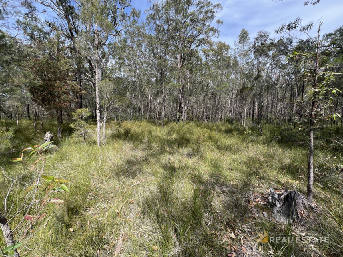 Lot 2863 Glen Innes Road, North Arm Cove NSW 2324, North Arm Cove - Thumbnail 5