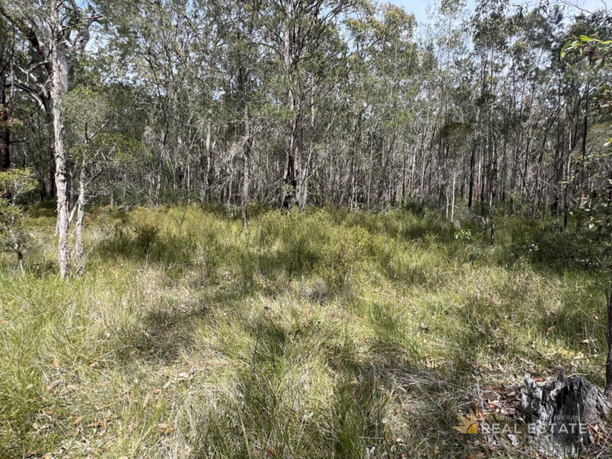 Lot 2863 Glen Innes Road, North Arm Cove NSW 2324, North Arm Cove - Thumbnail 8