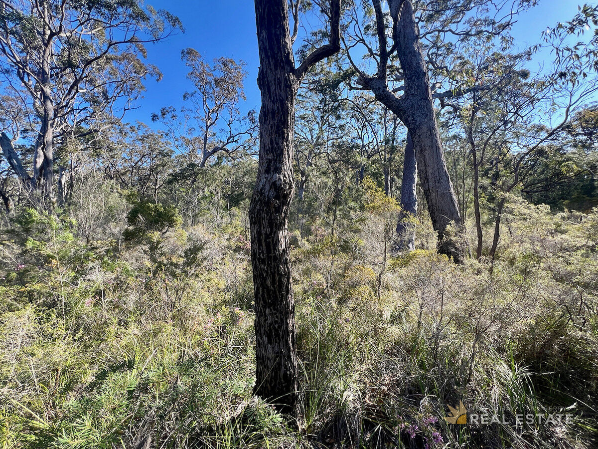 Lot 1907 & 1908 Kendall Street, North Arm Cove NSW 2324, North Arm Cove - Thumbnail 5