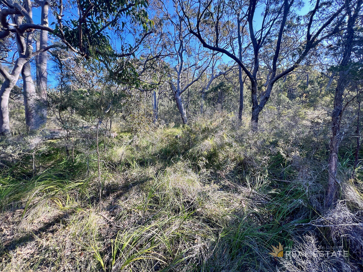 Lot 1907 & 1908 Kendall Street, North Arm Cove NSW 2324, North Arm Cove - Thumbnail 7