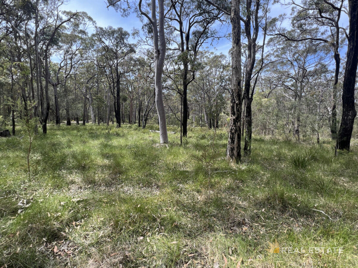 Lot 1763 The Ridgeway, North Arm Cove NSW 2324, North Arm Cove - Thumbnail 5