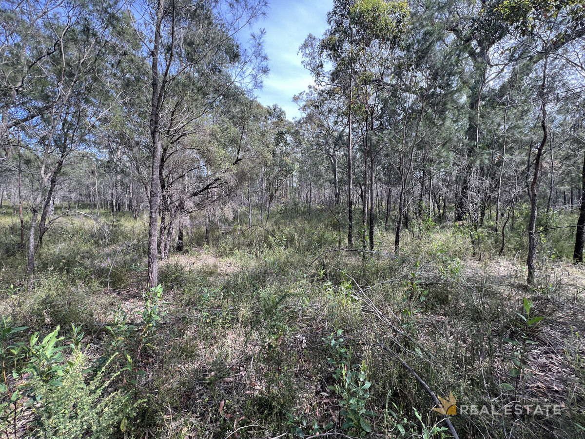 Lot 2868 Glencoe Street, North Arm Cove NSW 2324, North Arm Cove - Thumbnail 4