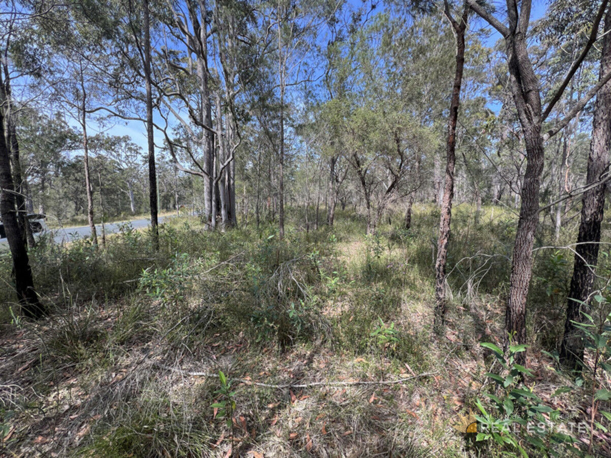 Lot 2868 Glencoe Street, North Arm Cove NSW 2324, North Arm Cove - Thumbnail 7