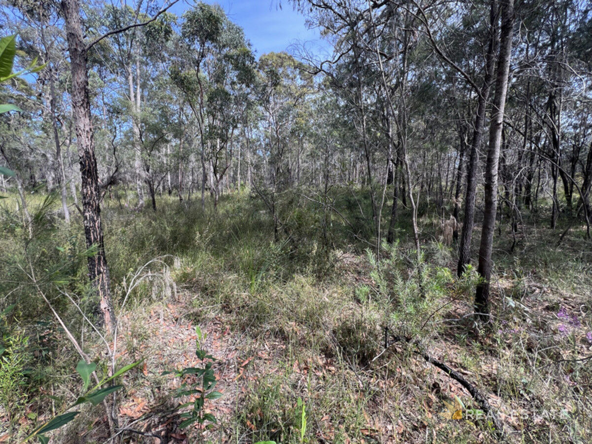 Lot 2868 Glencoe Street, North Arm Cove NSW 2324, North Arm Cove - Thumbnail 8