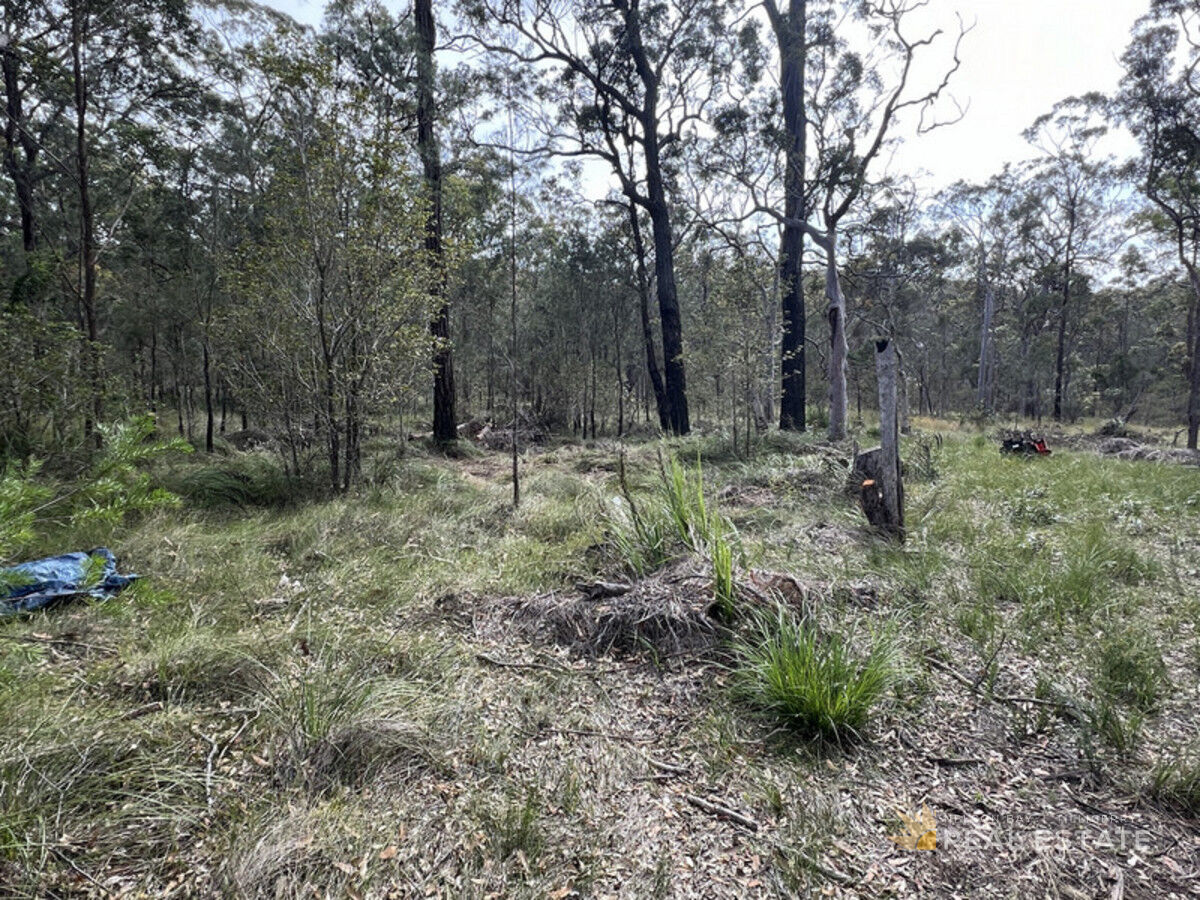 Lot 2890 Glencoe Street, North Arm Cove NSW 2324, North Arm Cove - Thumbnail 8
