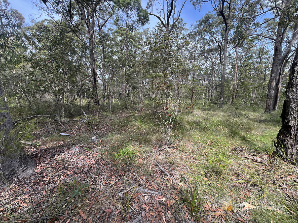 Lot 2574 Market Way, North Arm Cove NSW 2324, North Arm Cove - Thumbnail 4