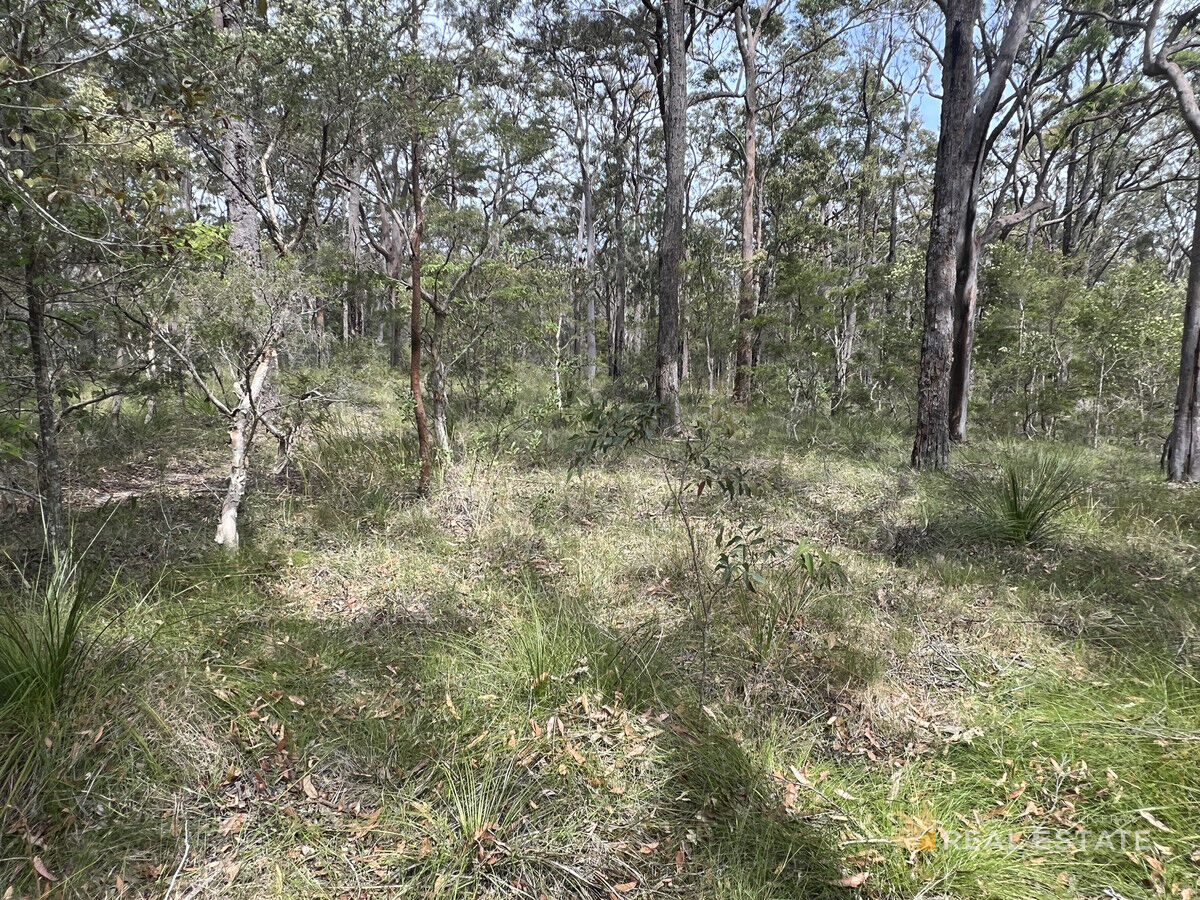 Lot 2574 Market Way, North Arm Cove NSW 2324, North Arm Cove - Thumbnail 5