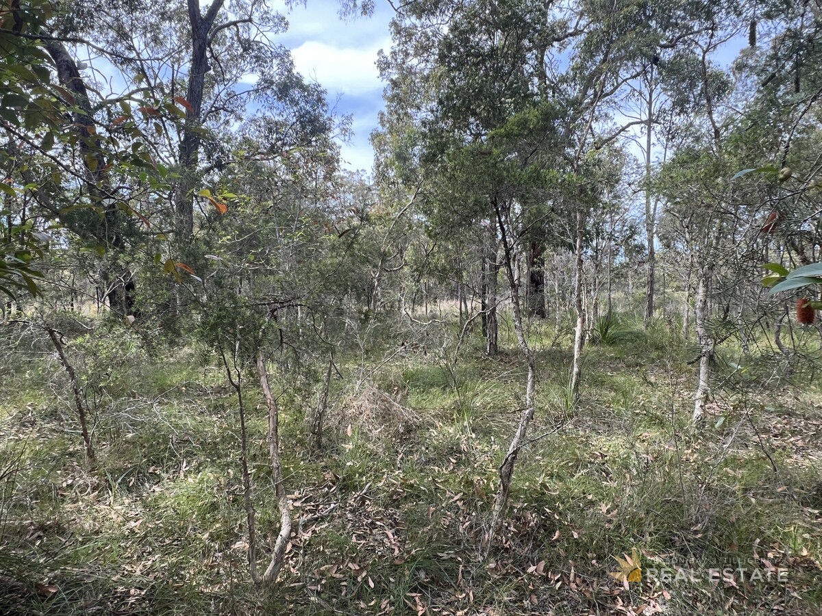 Lot 2574 Market Way, North Arm Cove NSW 2324, North Arm Cove - Thumbnail 6