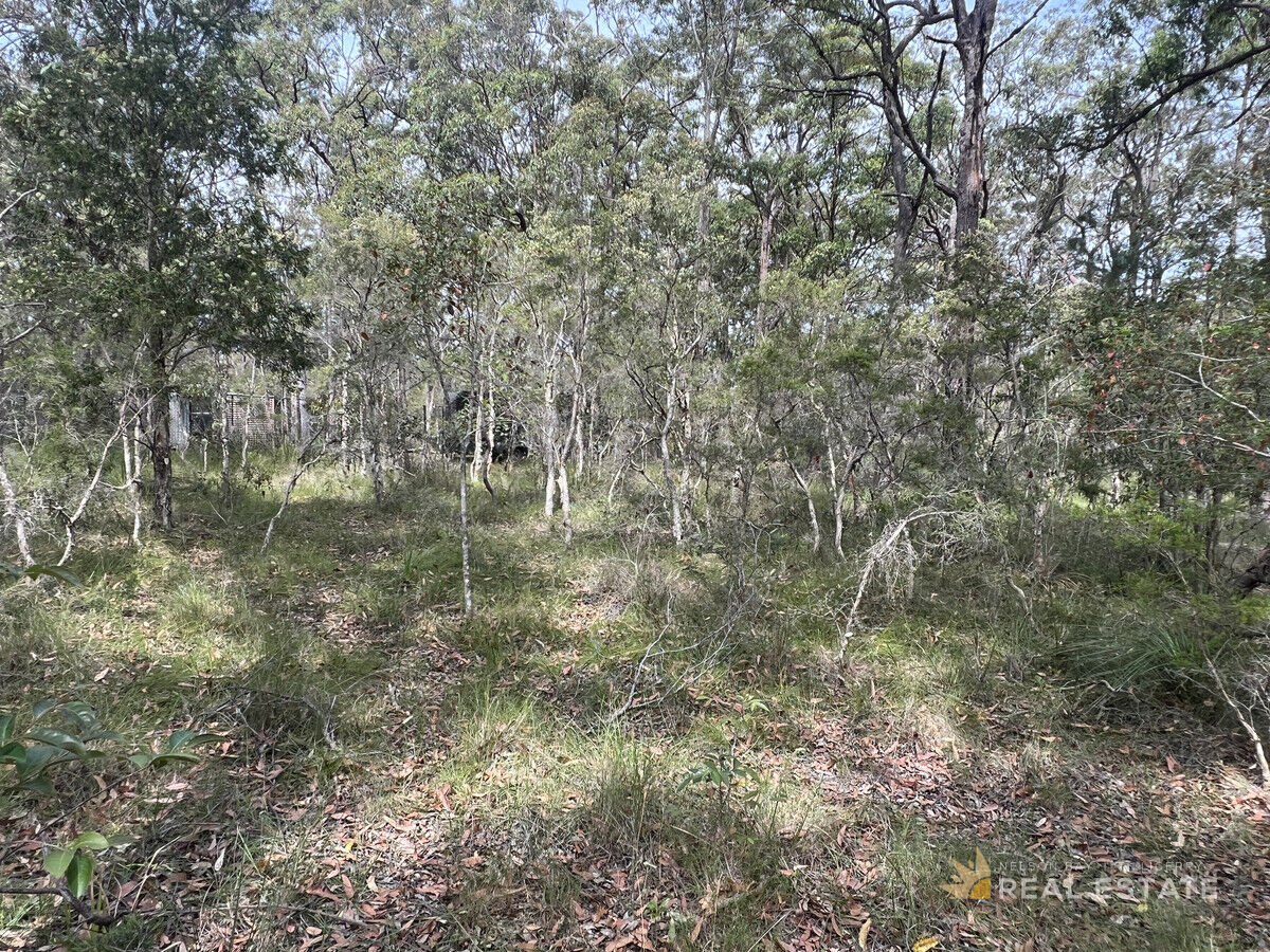 Lot 2574 Market Way, North Arm Cove NSW 2324, North Arm Cove - Thumbnail 8