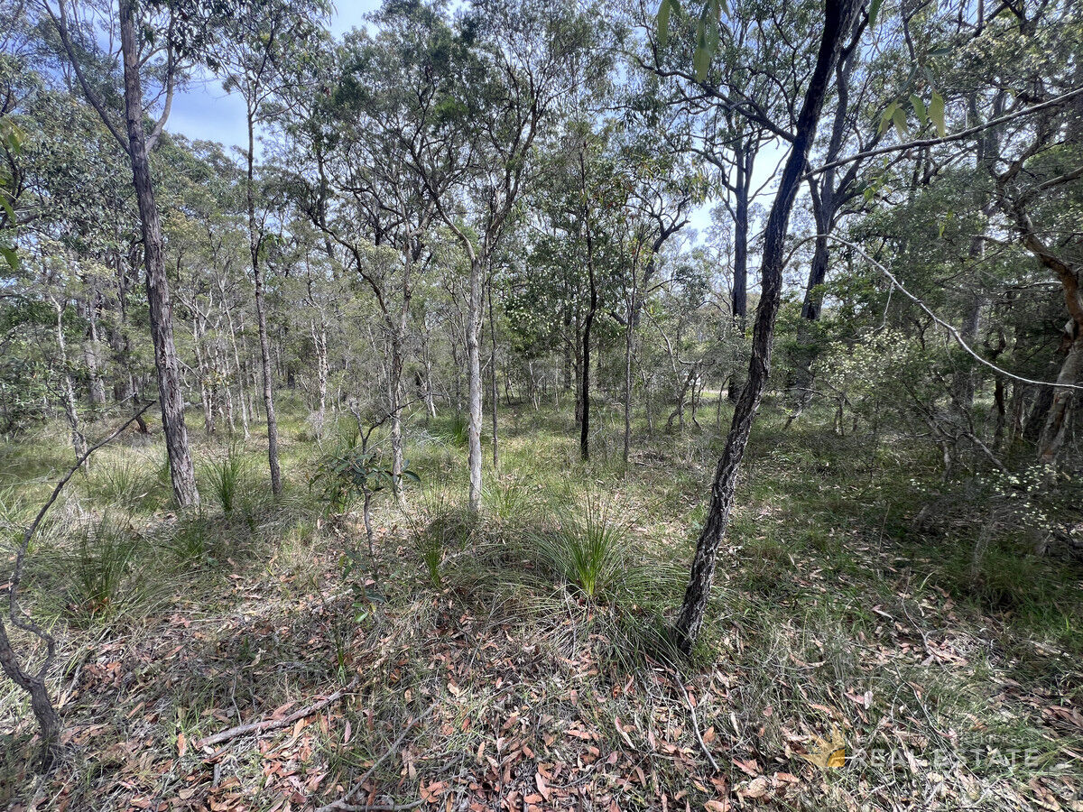 Lot 2575 Market Way, North Arm Cove NSW 2324, North Arm Cove - Thumbnail 6