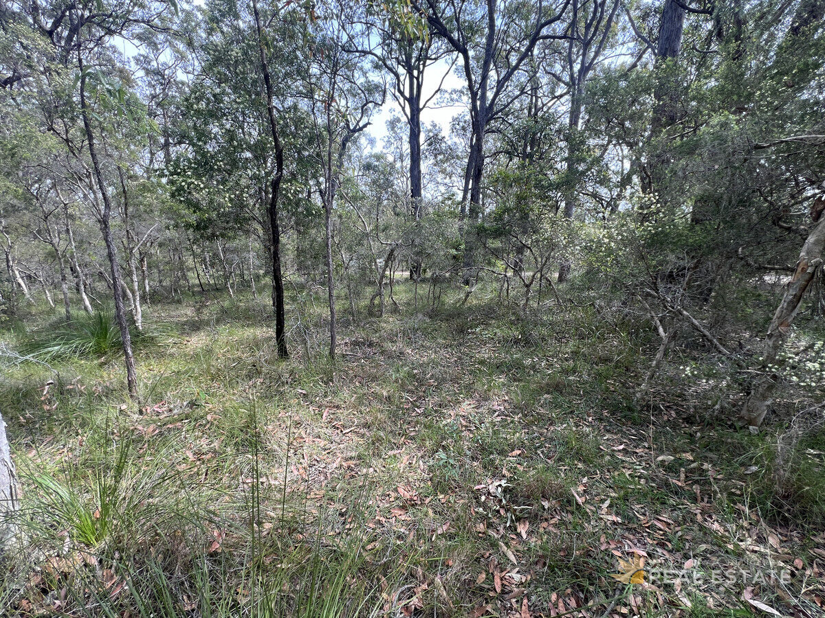 Lot 2575 Market Way, North Arm Cove NSW 2324, North Arm Cove - Thumbnail 3