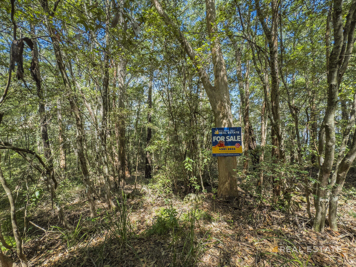 Lot 1750 Allandale Crescent, North Arm Cove NSW 2324, North Arm Cove - Thumbnail 2