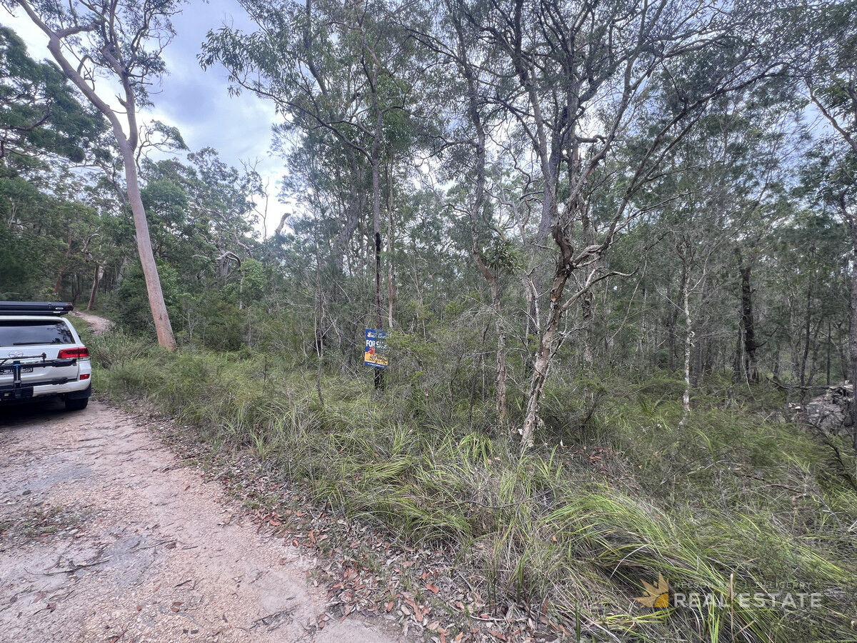 Lot 28 Tenterfield Road, North Arm Cove NSW 2324, North Arm Cove - Thumbnail 4