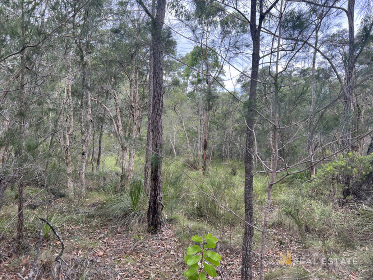 Lot 28 Tenterfield Road, North Arm Cove NSW 2324, North Arm Cove - Thumbnail 3