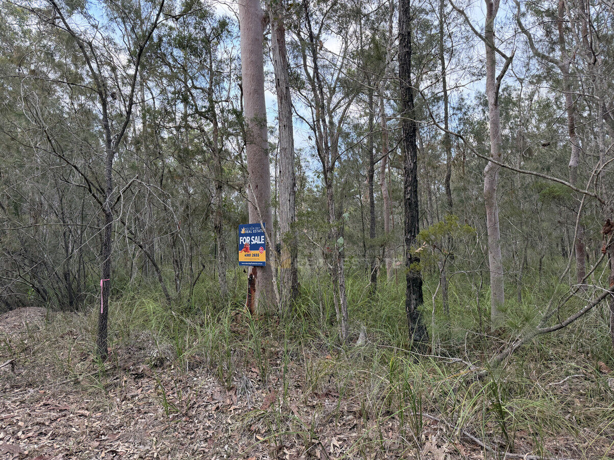 Lot 168 Glen Innes Road, North Arm Cove NSW 2324, North Arm Cove - Thumbnail 5