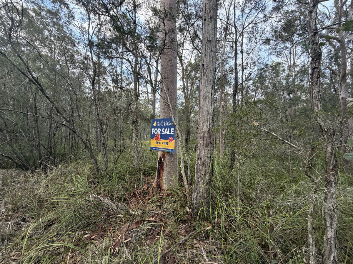 Lot 168 Glen Innes Road, North Arm Cove NSW 2324, North Arm Cove - Thumbnail 8