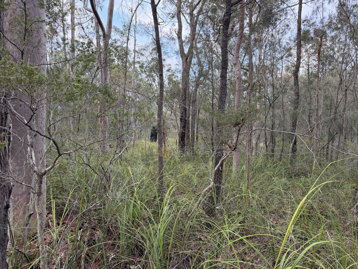 Lot 168 Glen Innes Road, North Arm Cove NSW 2324, North Arm Cove - Thumbnail 3
