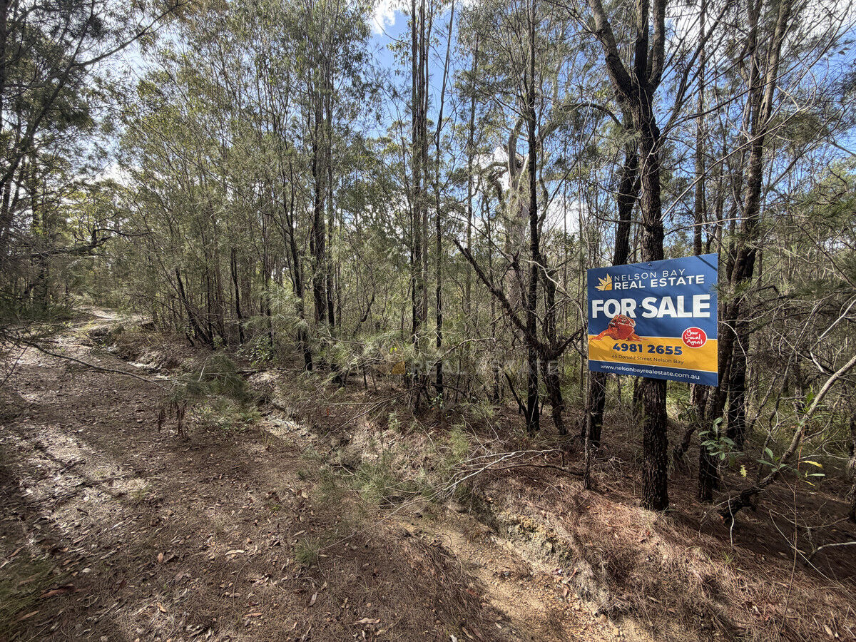 Lot 116 Gunnedah Street, North Arm Cove NSW 2324, North Arm Cove - Thumbnail 6
