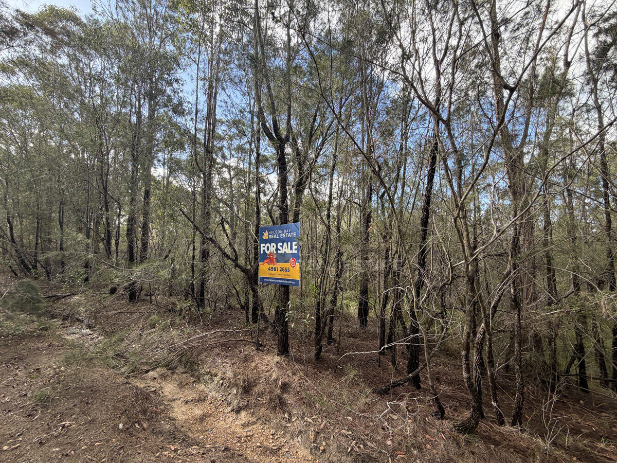 Lot 116 Gunnedah Street, North Arm Cove NSW 2324, North Arm Cove - Thumbnail 7