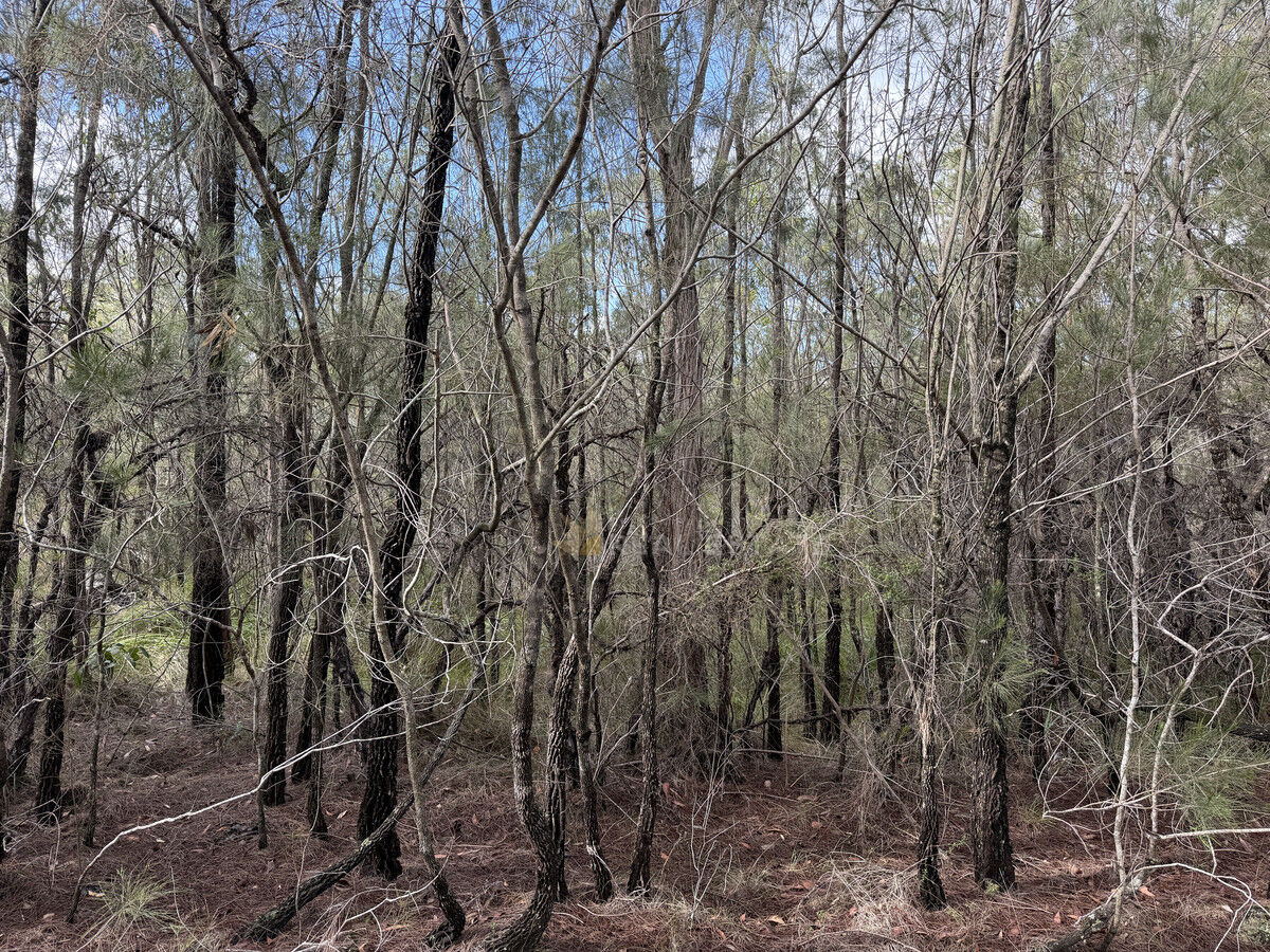 Lot 116 Gunnedah Street, North Arm Cove NSW 2324, North Arm Cove - Thumbnail 2