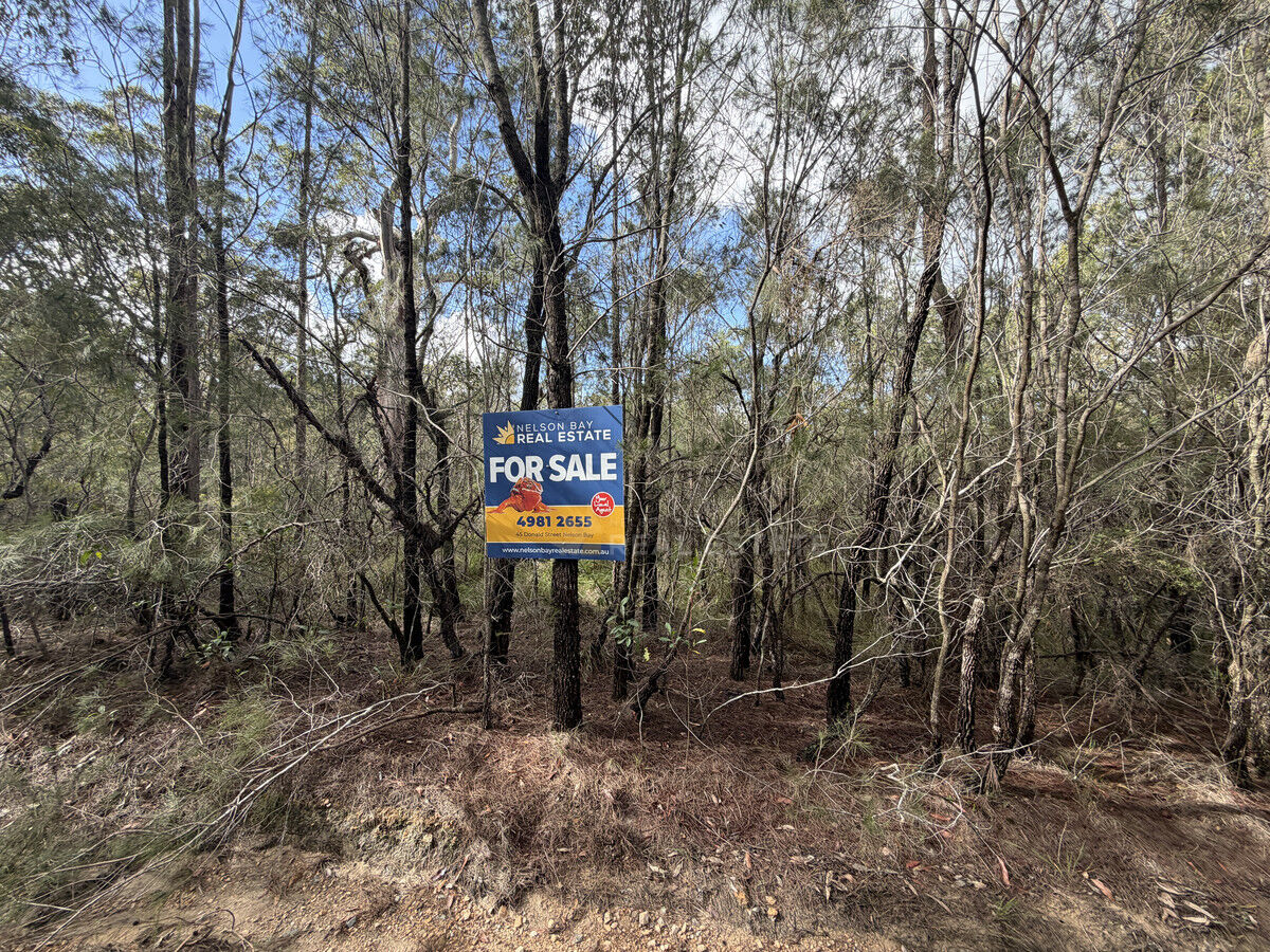 Lot 116 Gunnedah Street, North Arm Cove NSW 2324, North Arm Cove - Thumbnail 4