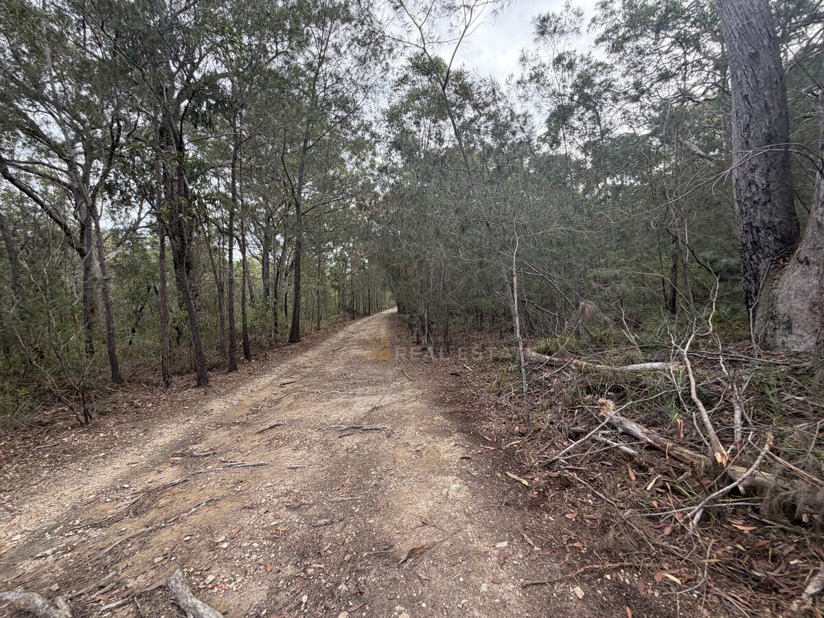 Lot 2114 Bellingen Crescent, North Arm Cove NSW 2324, North Arm Cove - Thumbnail 6