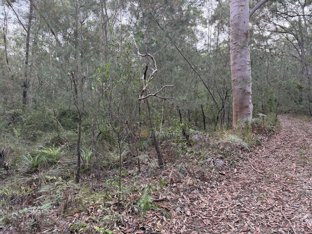 Lot 2114 Bellingen Crescent, North Arm Cove NSW 2324, North Arm Cove - Thumbnail 2