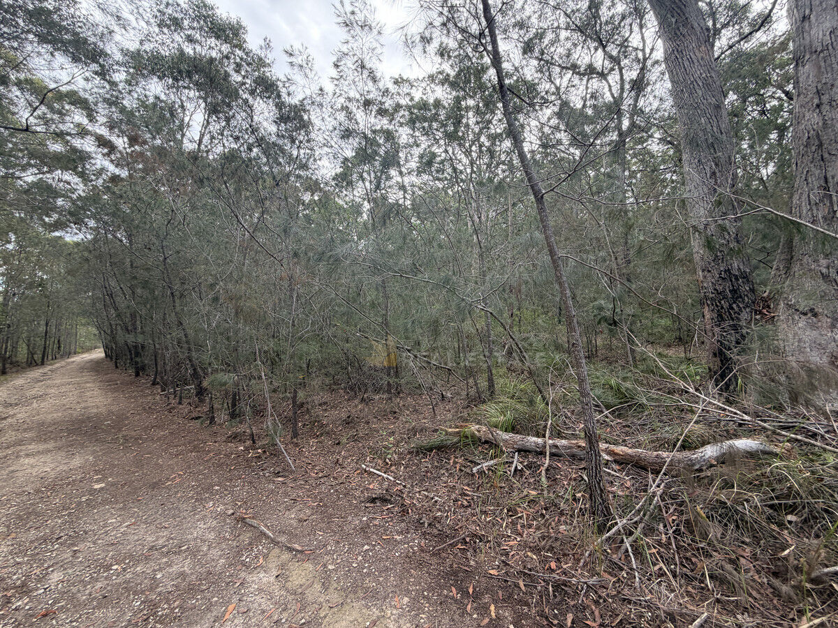 Lot 2114 Bellingen Crescent, North Arm Cove NSW 2324, North Arm Cove - Thumbnail 8