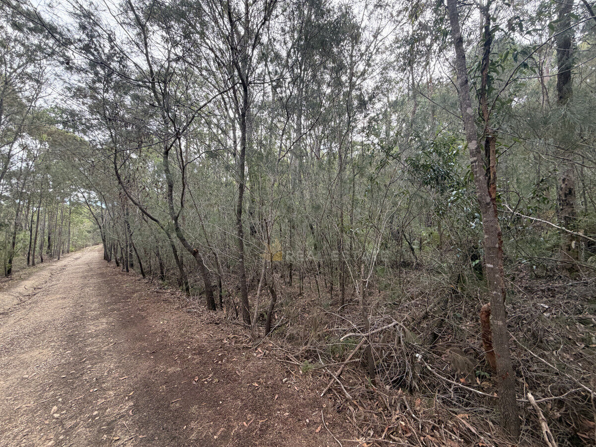 Lot 2114 Bellingen Crescent, North Arm Cove NSW 2324, North Arm Cove - Thumbnail 4