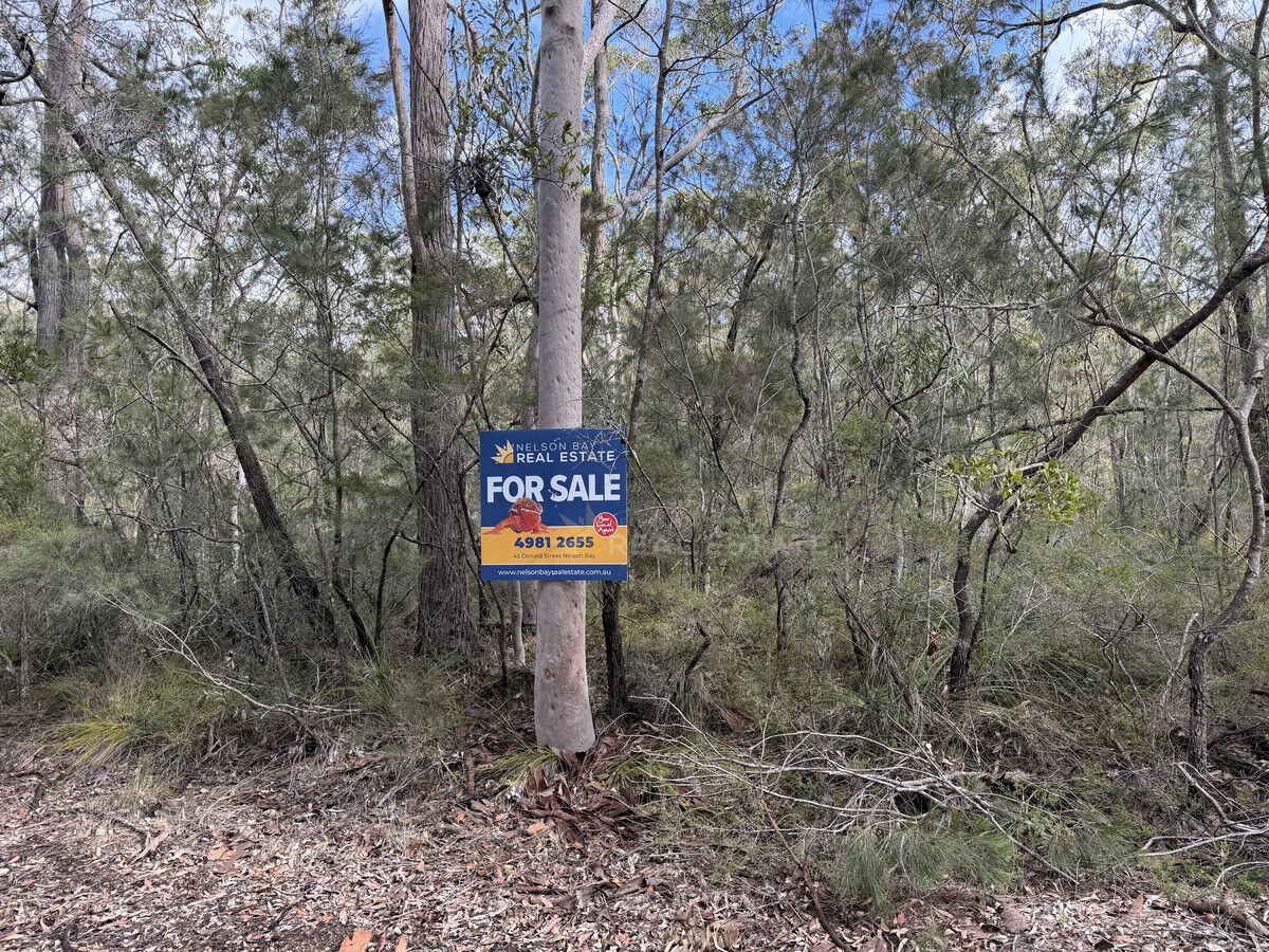 Lot 283 Scone Street, North Arm Cove NSW 2324, North Arm Cove - Thumbnail 6