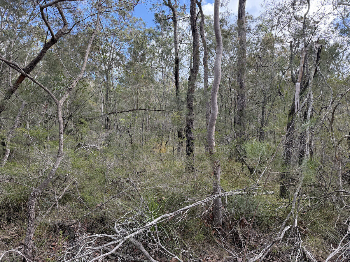 Lot 283 Scone Street, North Arm Cove NSW 2324, North Arm Cove - Thumbnail 8