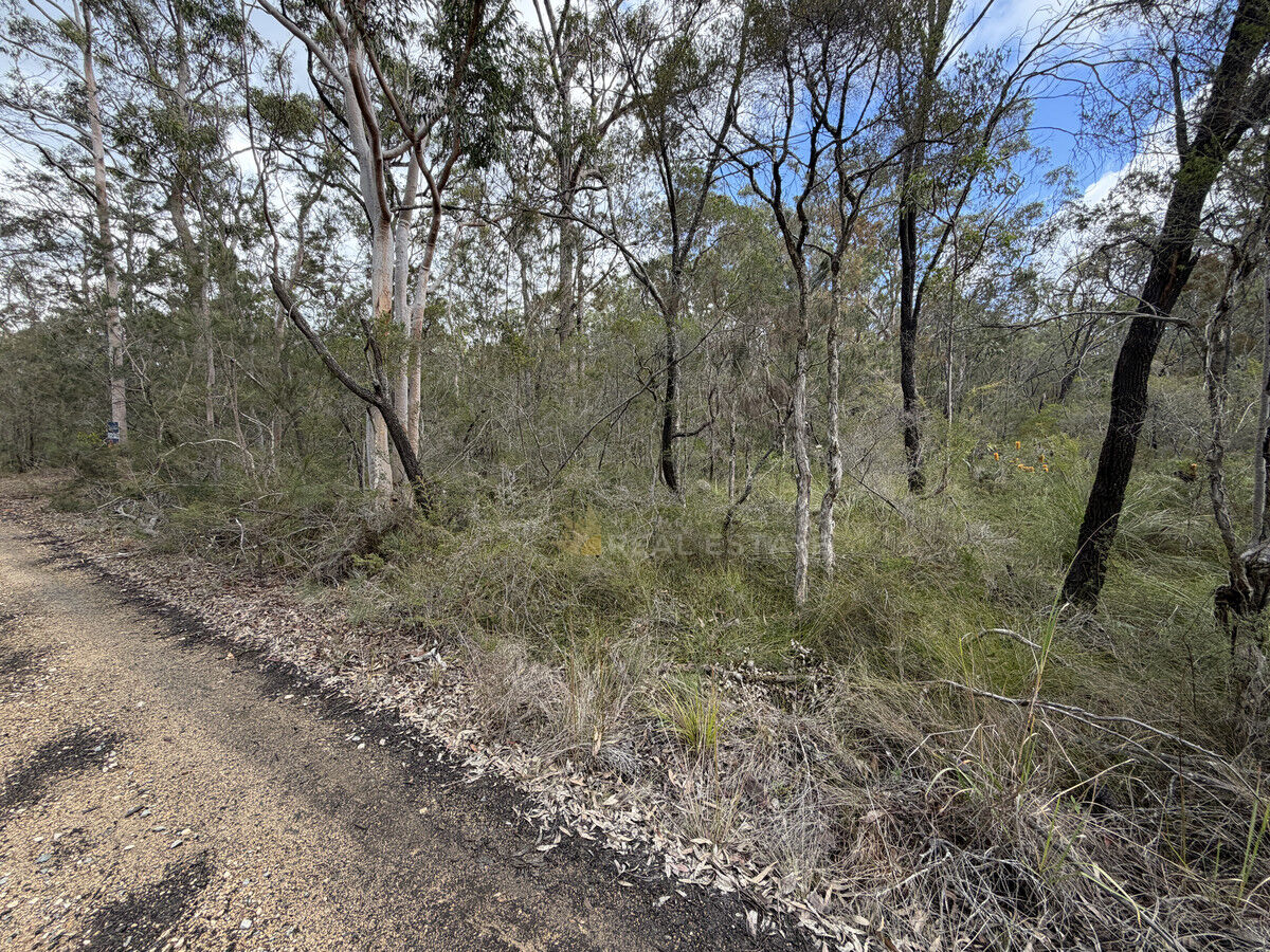 Lot 283 Scone Street, North Arm Cove NSW 2324, North Arm Cove - Thumbnail 2