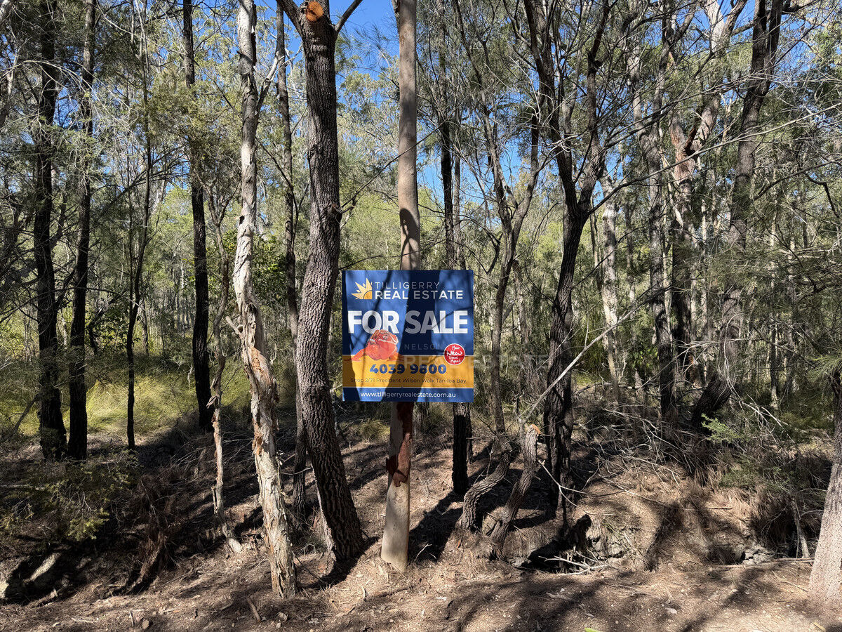 Lot 2220 Lismore Road, North Arm Cove NSW 2324, North Arm Cove - Thumbnail 4