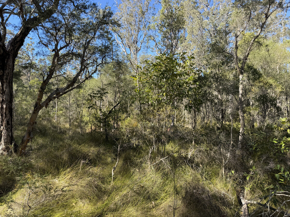 Lot 2220 Lismore Road, North Arm Cove NSW 2324, North Arm Cove - Thumbnail 2