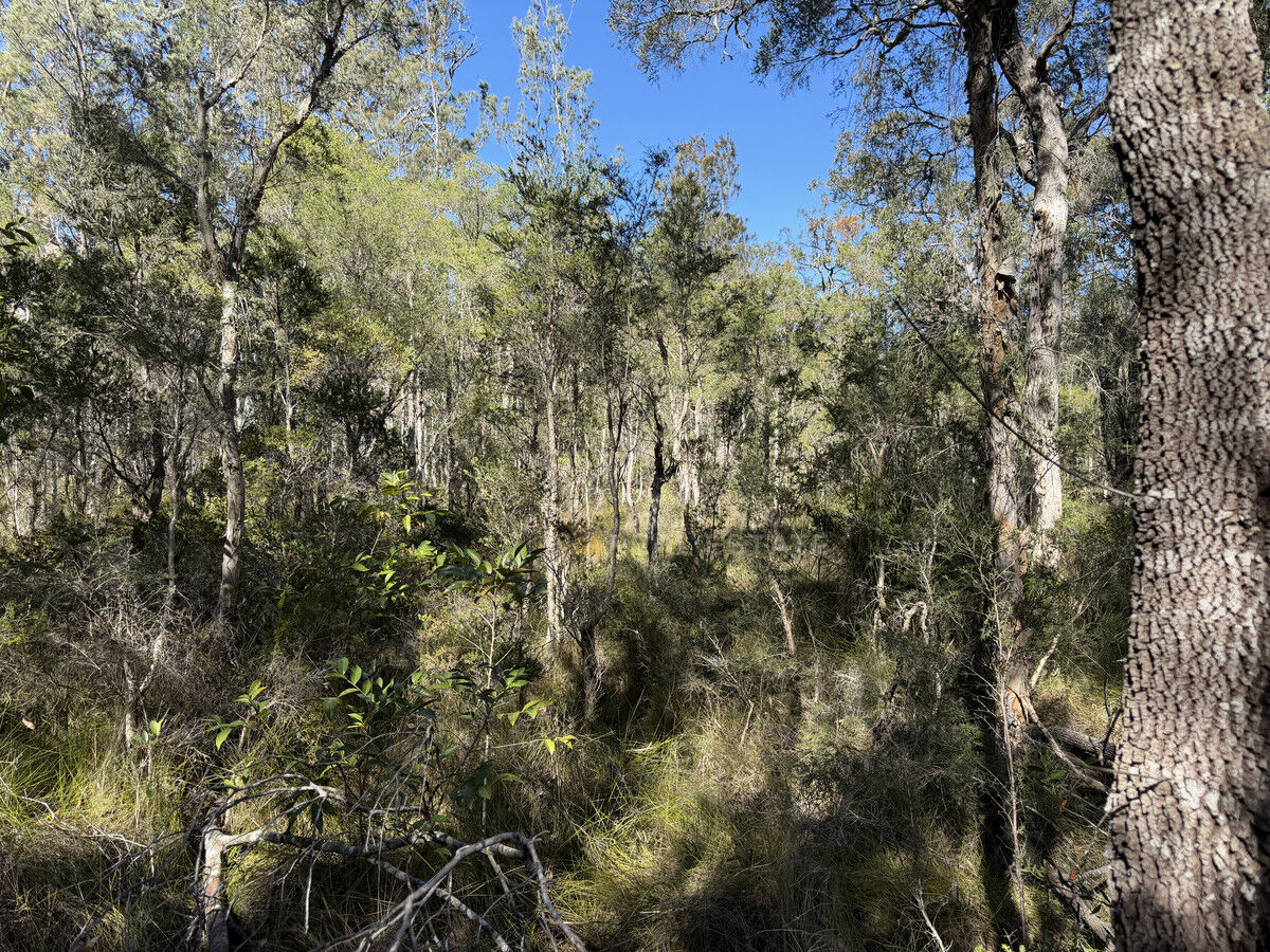 Lot 2220 Lismore Road, North Arm Cove NSW 2324, North Arm Cove - Thumbnail 3