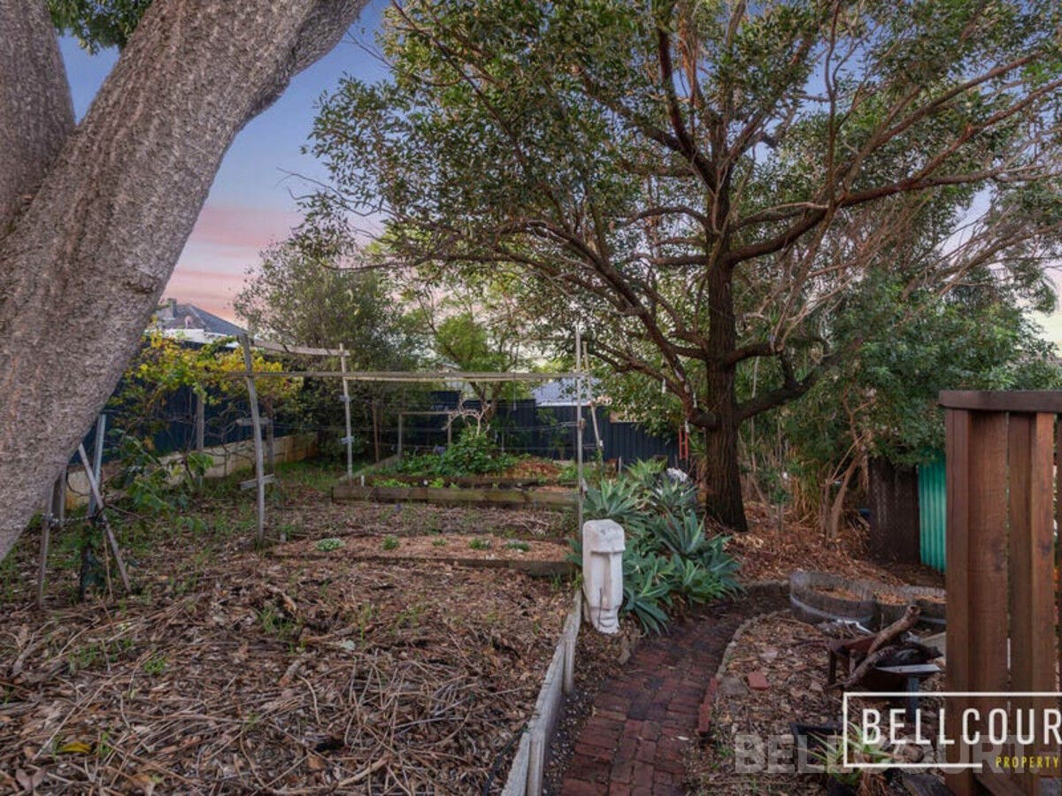 59 Crowther Street, BAYSWATER WA 6053, Bayswater - Thumbnail 6