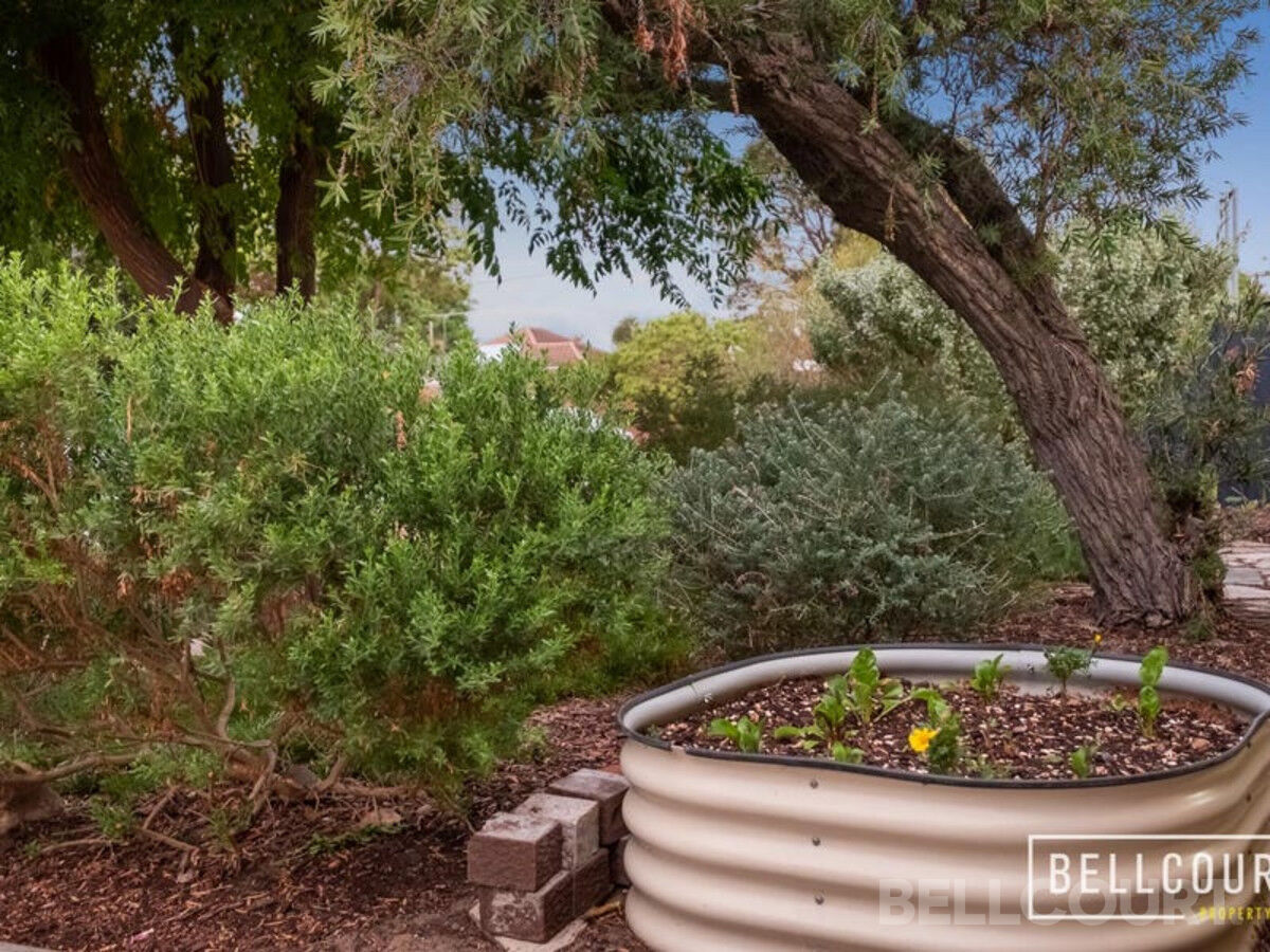 25 Watson Place, MAYLANDS WA 6051, Maylands - Thumbnail 5