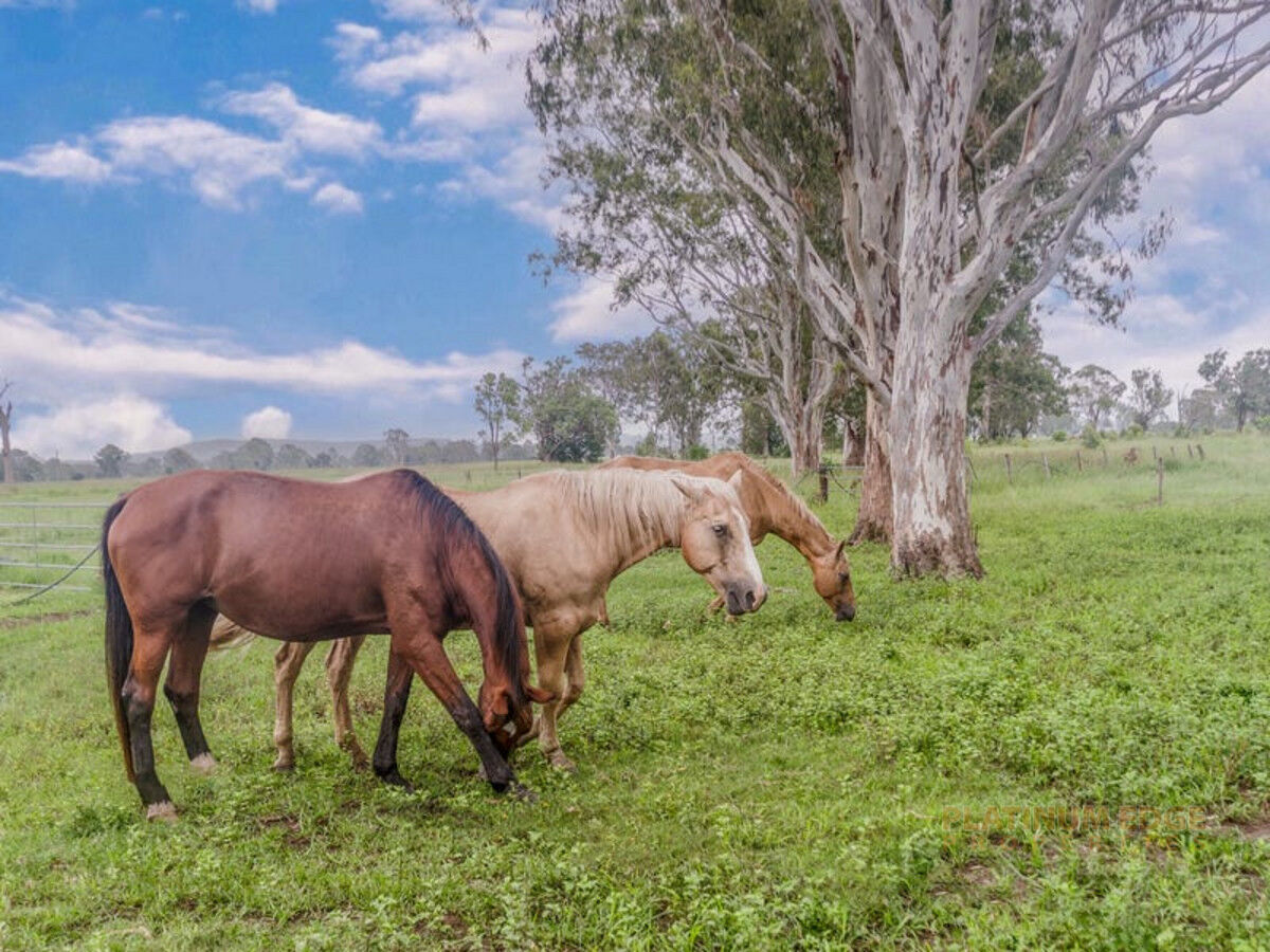 185 Hall Road, WOODHILL QLD 4285, Woodhill - Thumbnail 5